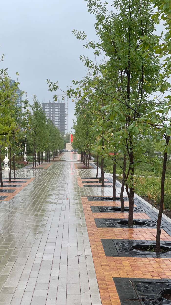 Приствольная решетка для дерева ZKING CRUST 1.2х1.2м Черная в Махачкале фото