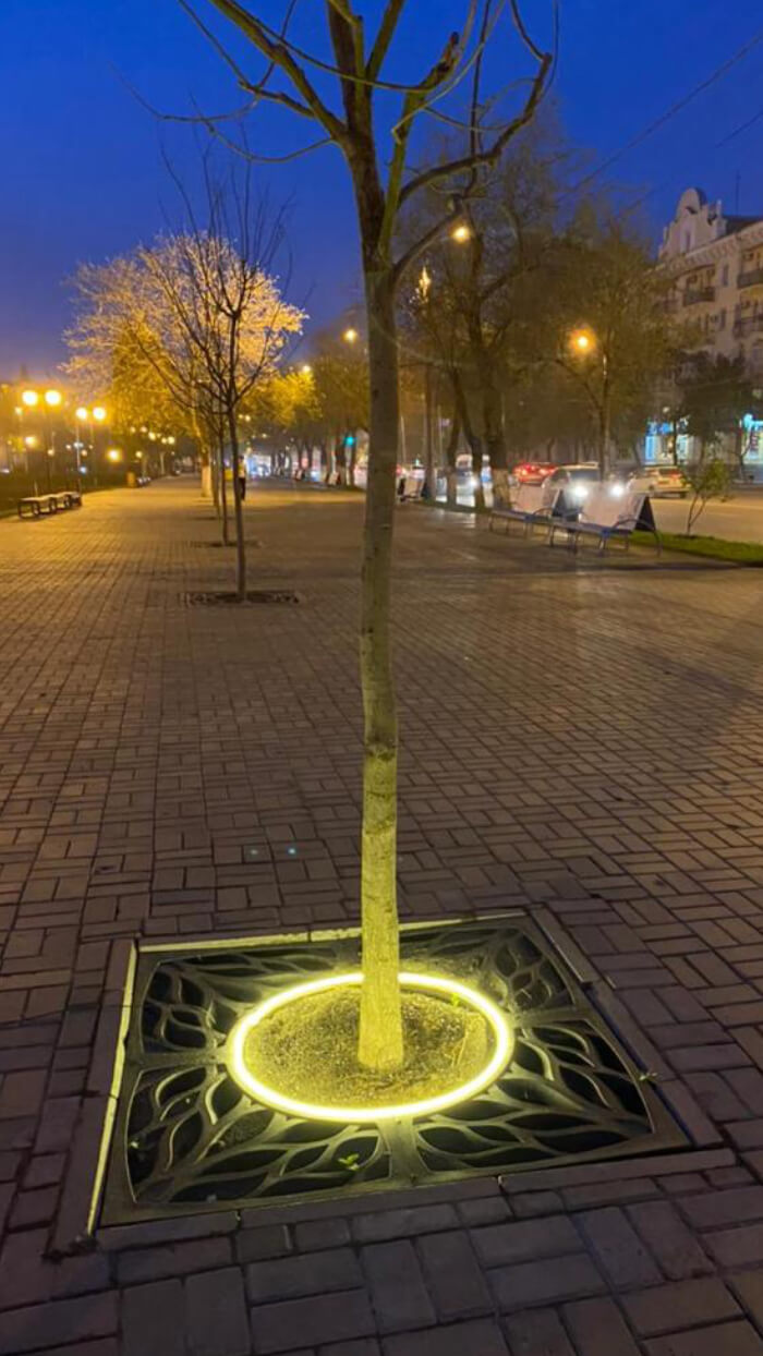 Приствольная решетка для дерева ZKING CRUST 1.2х1.2м Черная в Махачкале фото